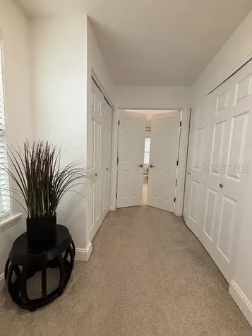 16077 Dawnview Drive Tampa FL 33624