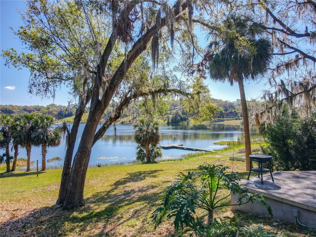 1617 Lake Nettie Court Eustis FL 32726