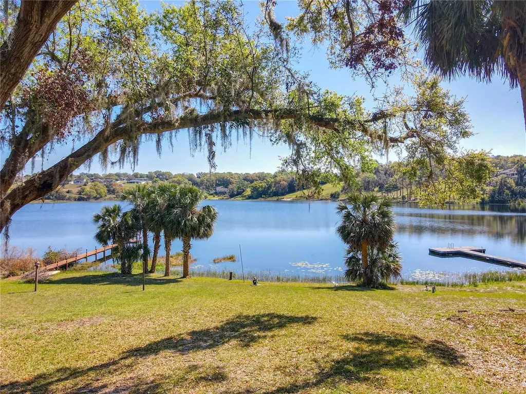 1617 Lake Nettie Court Eustis FL 32726