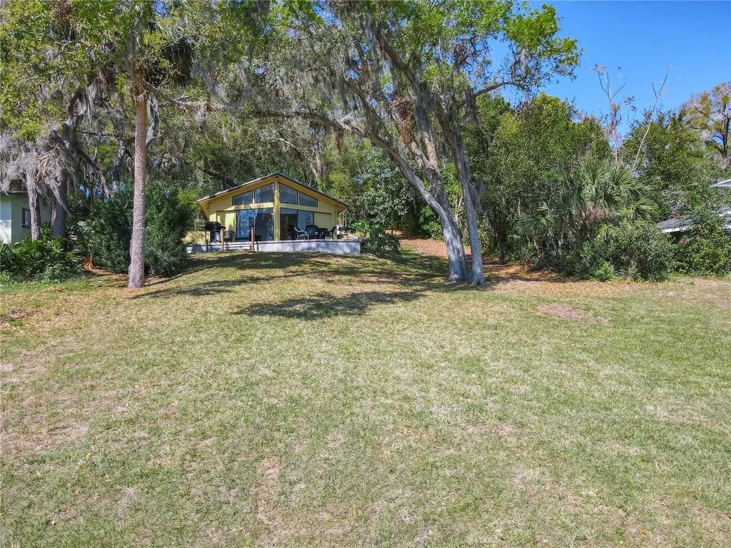 1617 Lake Nettie Court Eustis FL 32726