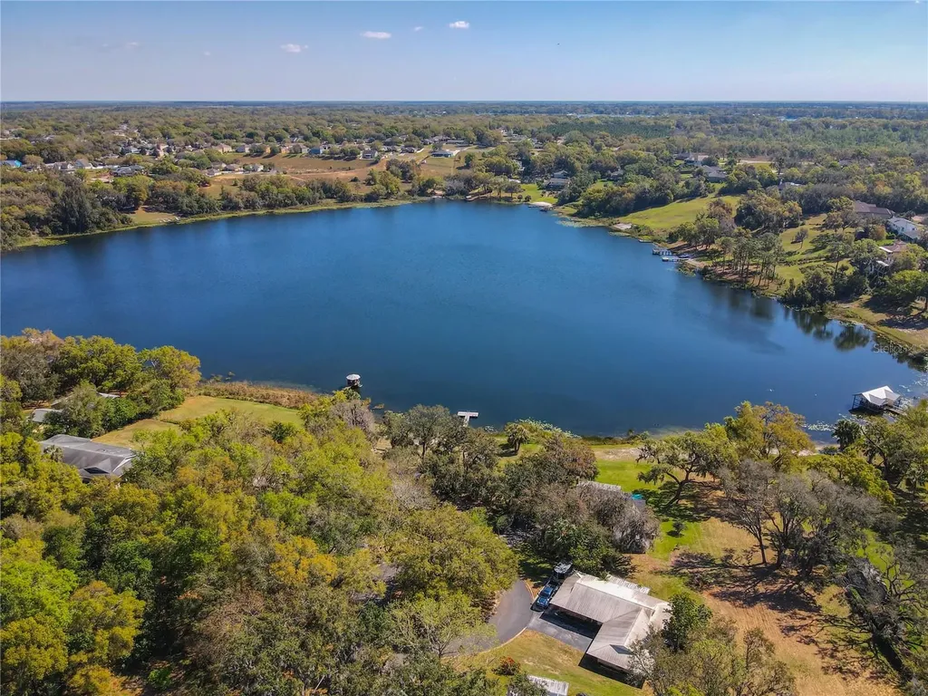 1617 Lake Nettie Court Eustis FL 32726