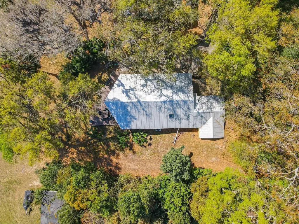 1617 Lake Nettie Court Eustis FL 32726