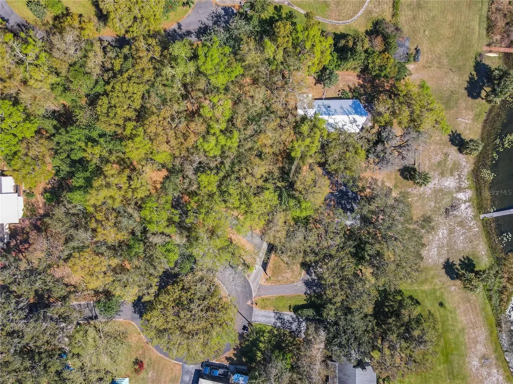 1617 Lake Nettie Court Eustis FL 32726
