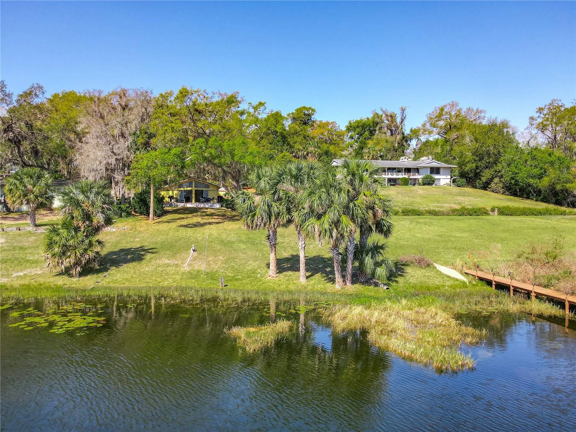 1617 Lake Nettie Court Eustis FL 32726