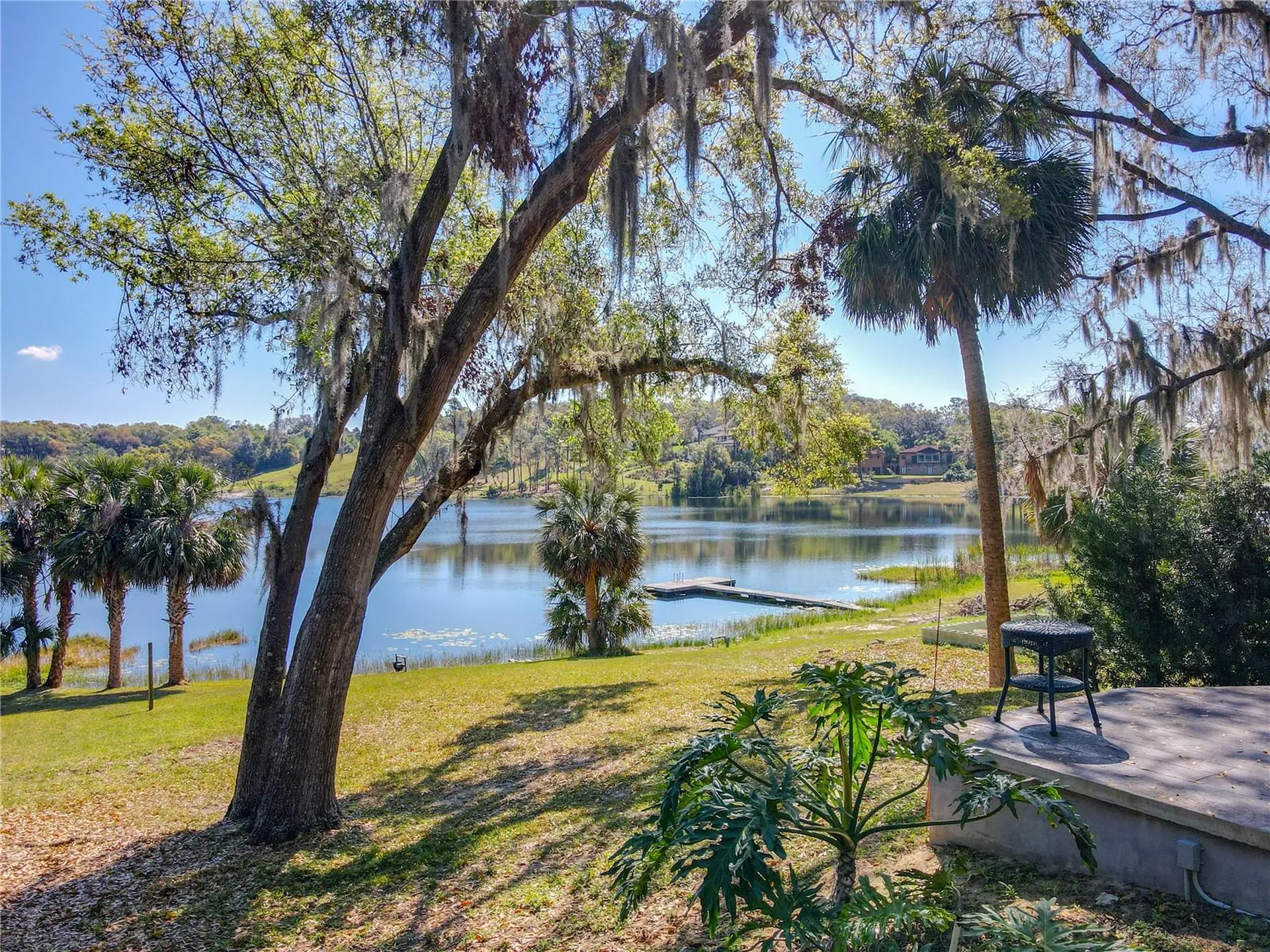1617 Lake Nettie Court Eustis FL 32726