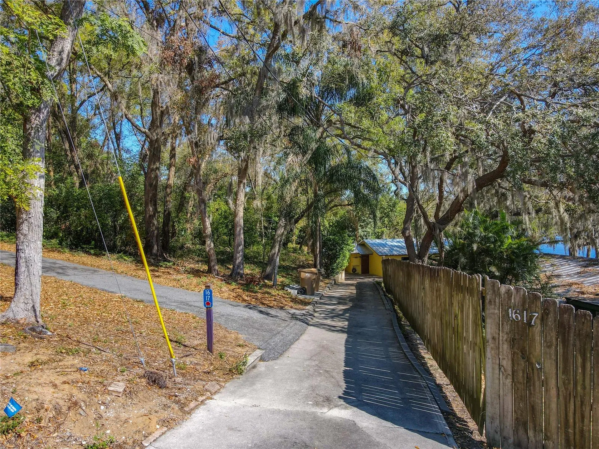 1617 Lake Nettie Court Eustis FL 32726