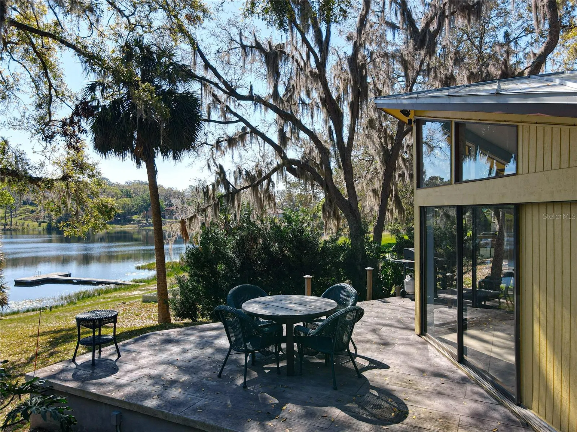 1617 Lake Nettie Court Eustis FL 32726