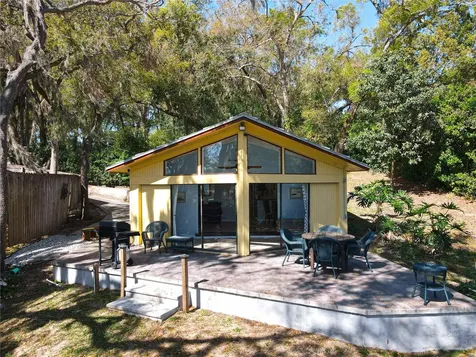 1617 Lake Nettie Court Eustis FL 32726