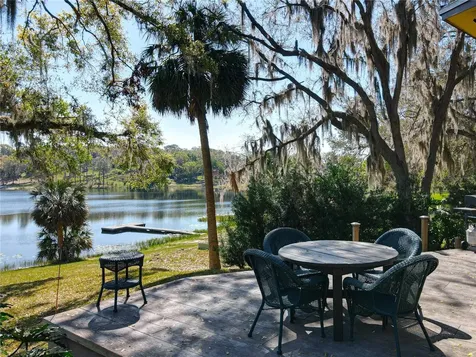 1617 Lake Nettie Court Eustis FL 32726