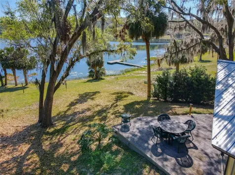 1617 Lake Nettie Court Eustis FL 32726