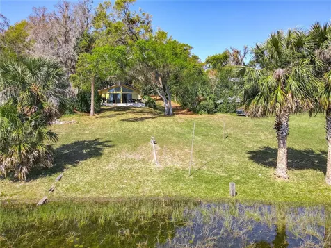 1617 Lake Nettie Court Eustis FL 32726