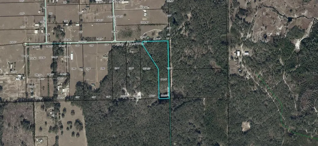 Bell FL 32619