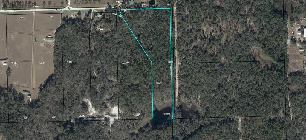 Bell FL 32619