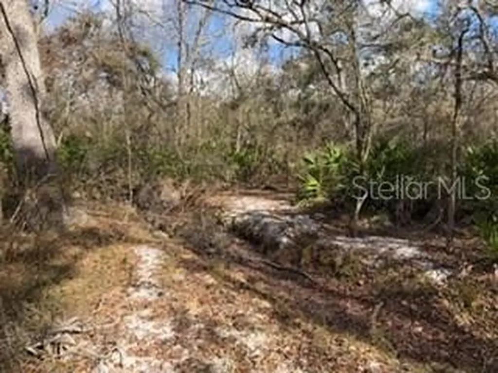 Bell FL 32619
