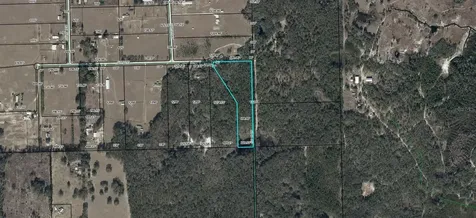 Bell FL 32619
