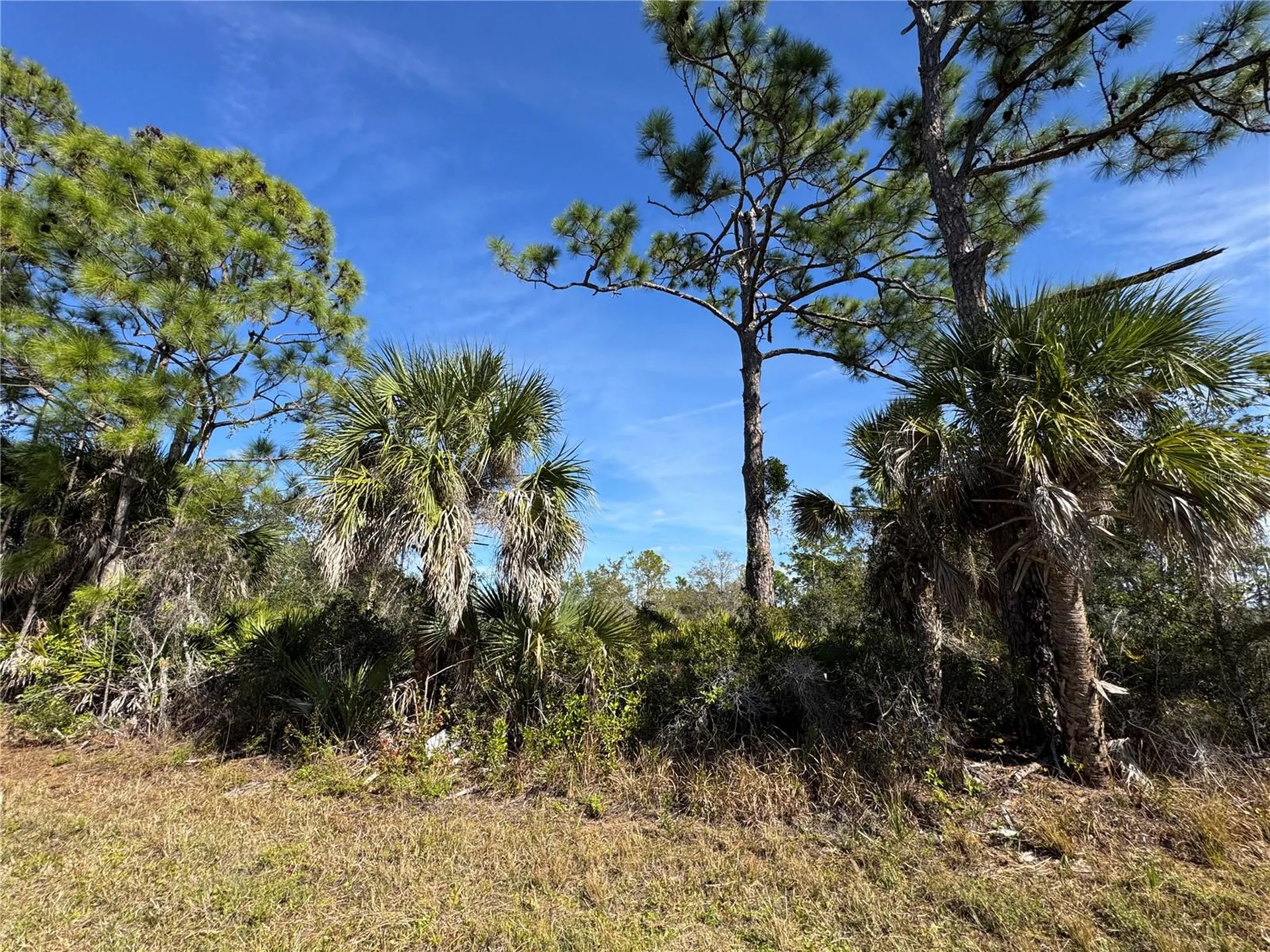 3110 Gillot Boulevard Port Charlotte FL 33981