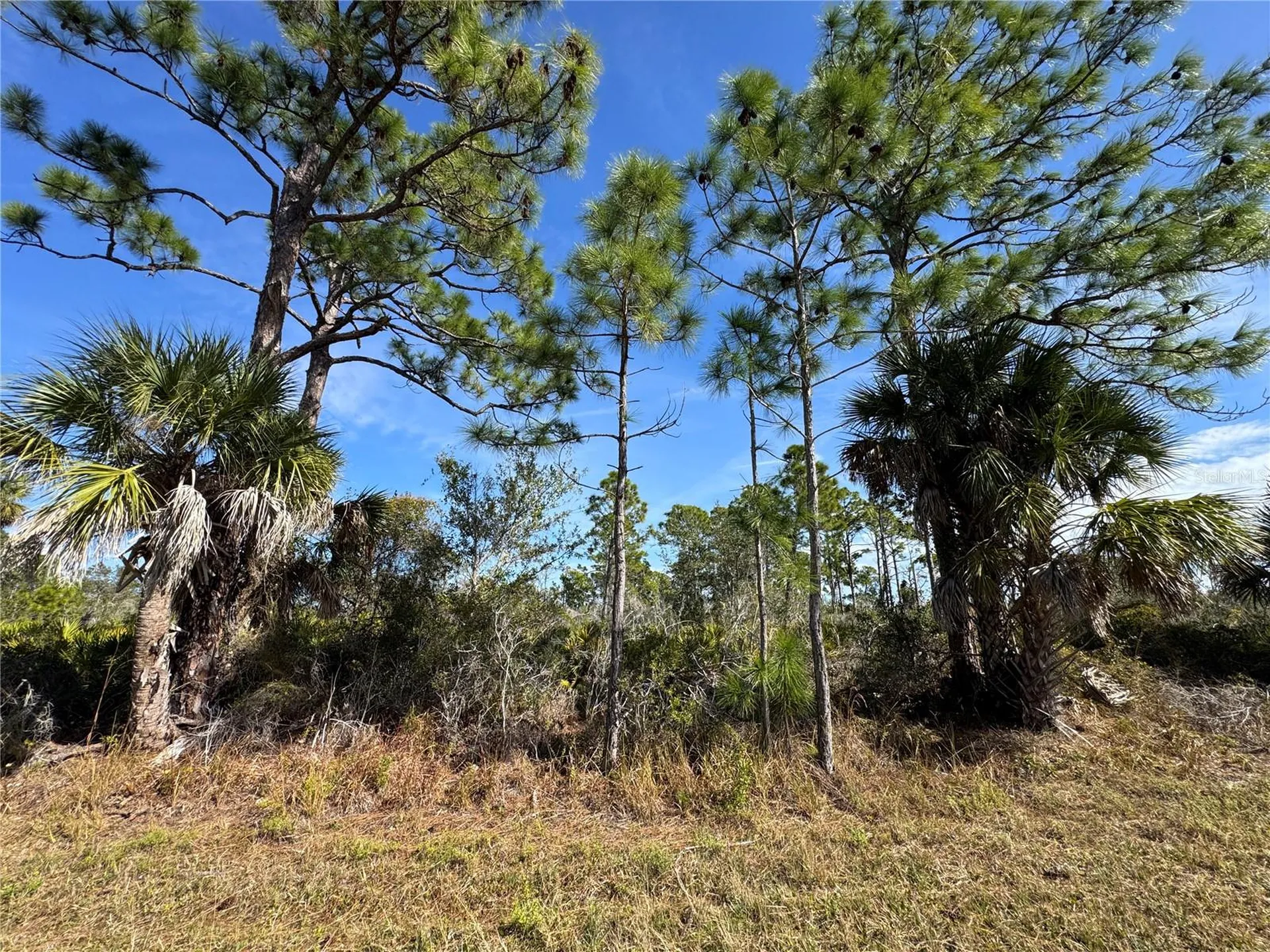 3110 Gillot Boulevard Port Charlotte FL 33981