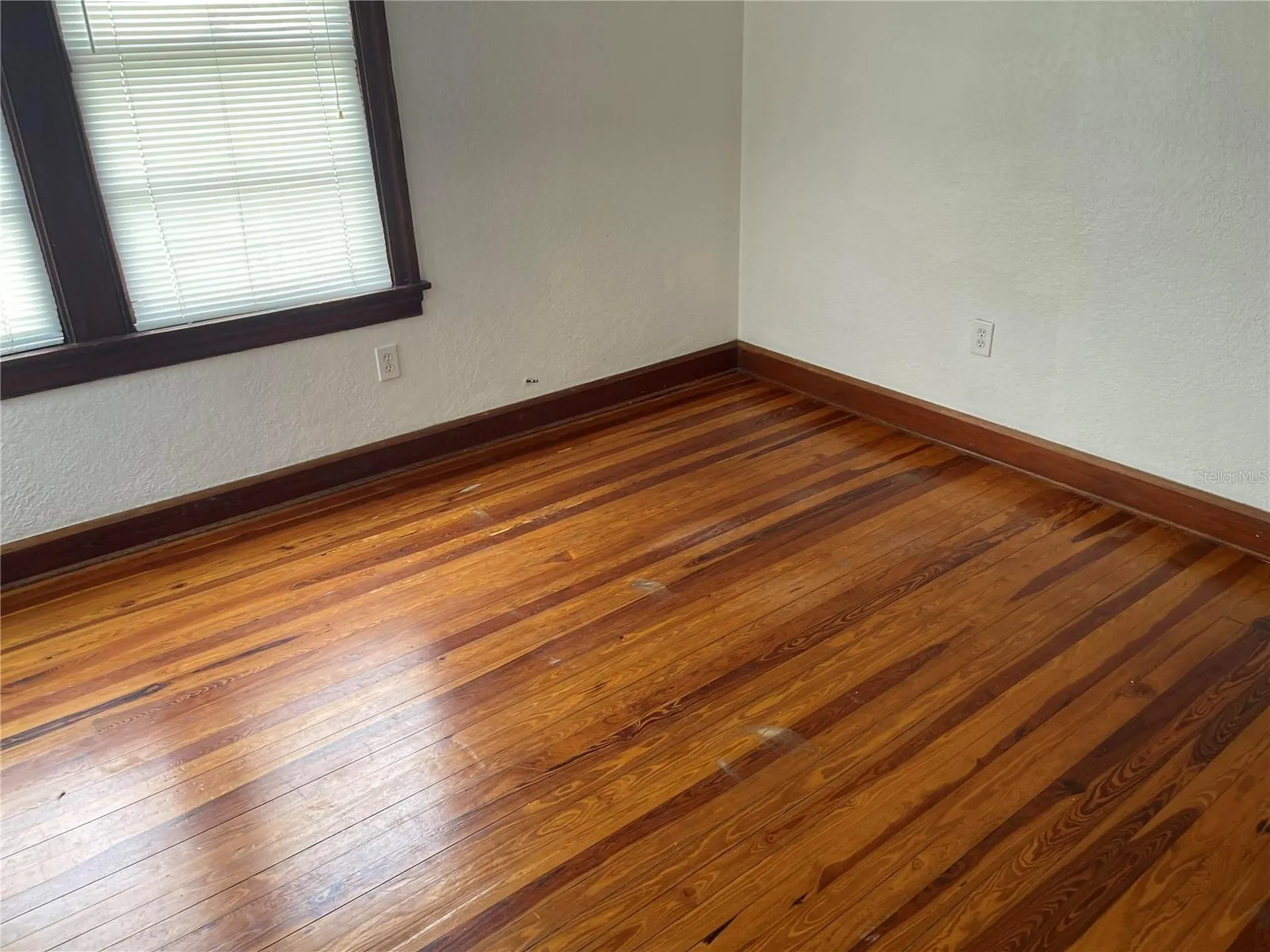 1002 Drew Street Clearwater FL 33755