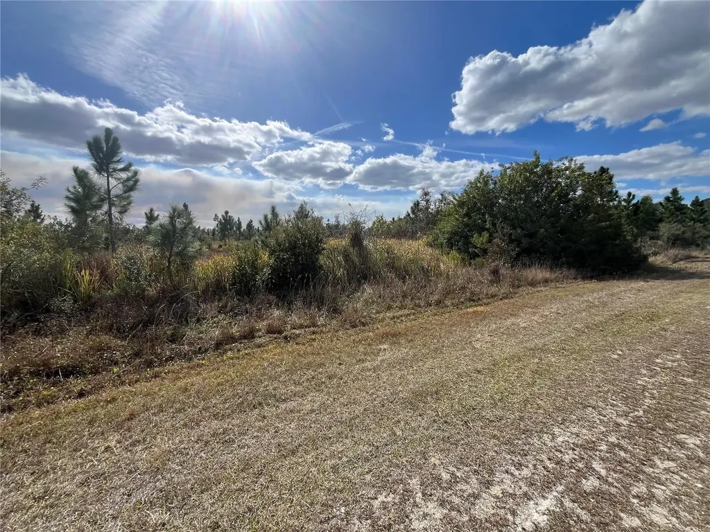 Althea Drive Indian Lake Estates FL 33855