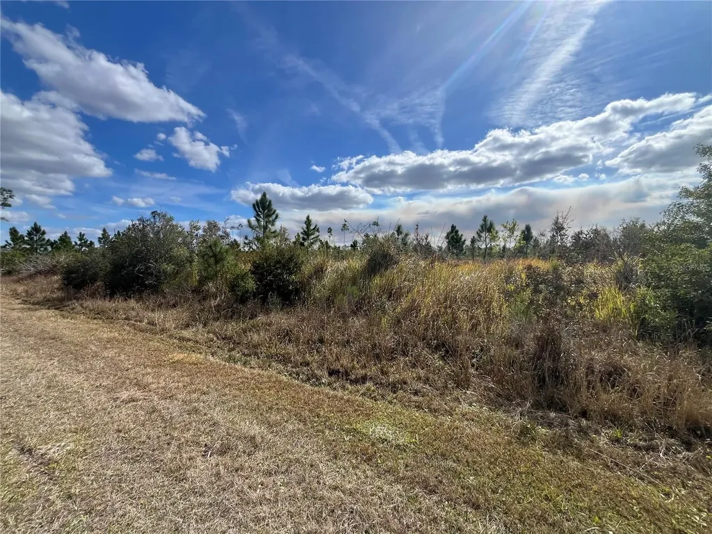 Althea Drive Indian Lake Estates FL 33855