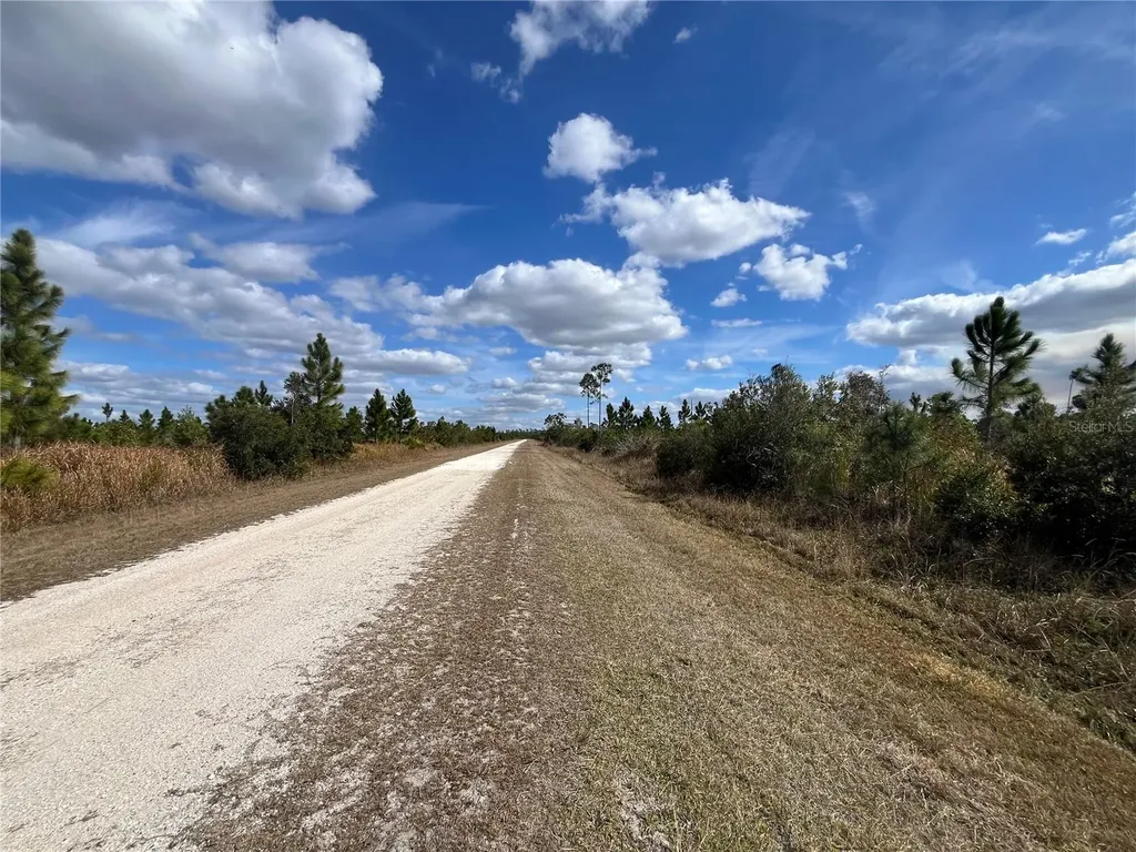 Althea Drive Indian Lake Estates FL 33855