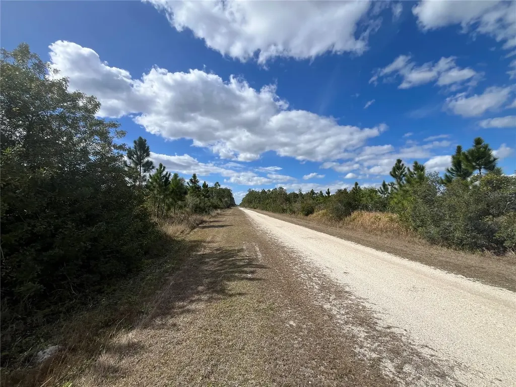 Althea Drive Indian Lake Estates FL 33855