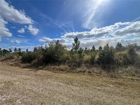 Althea Drive Indian Lake Estates FL 33855