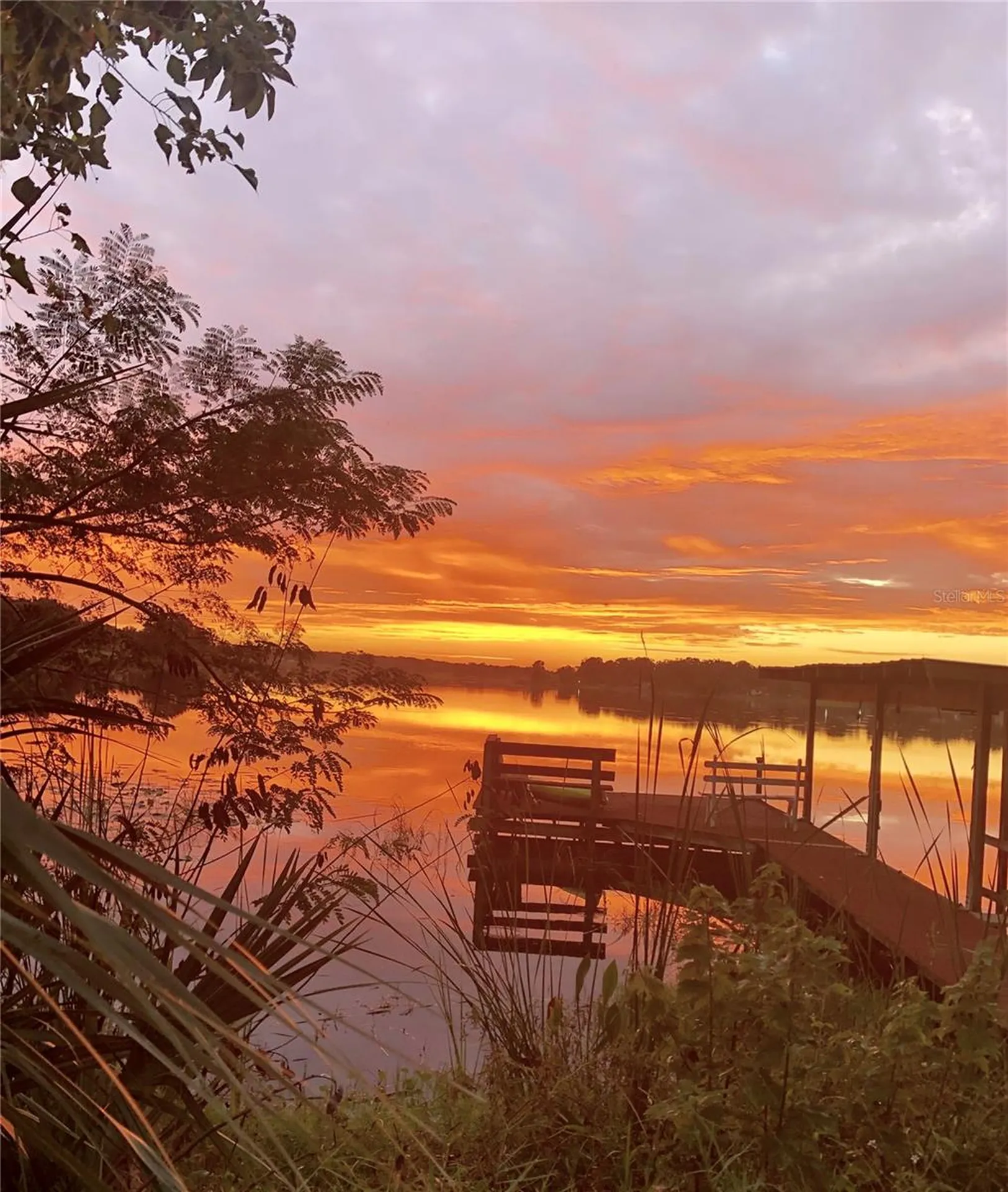 243 S Central Avenue Umatilla FL 32784