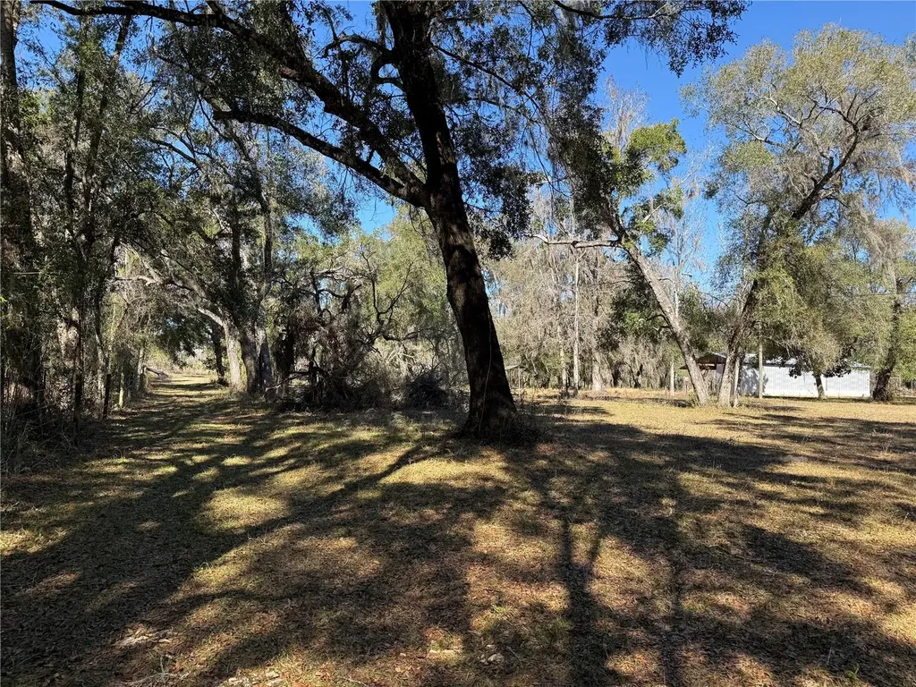 18630 Bradshaw Road Dade City FL 33523