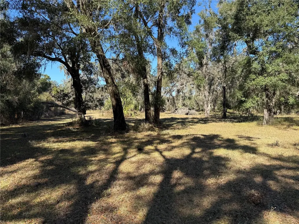 18630 Bradshaw Road Dade City FL 33523