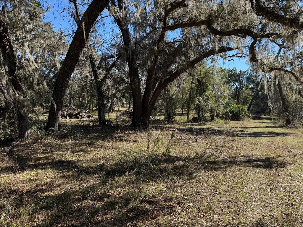 18630 Bradshaw Road Dade City FL 33523