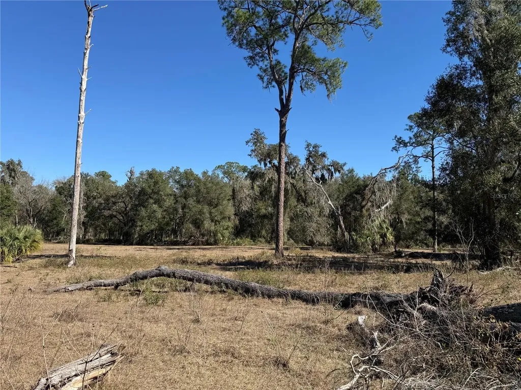 18630 Bradshaw Road Dade City FL 33523