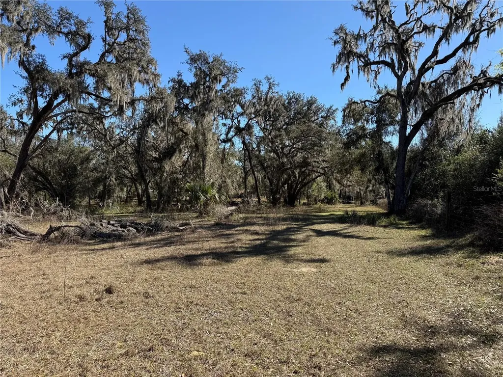 18630 Bradshaw Road Dade City FL 33523