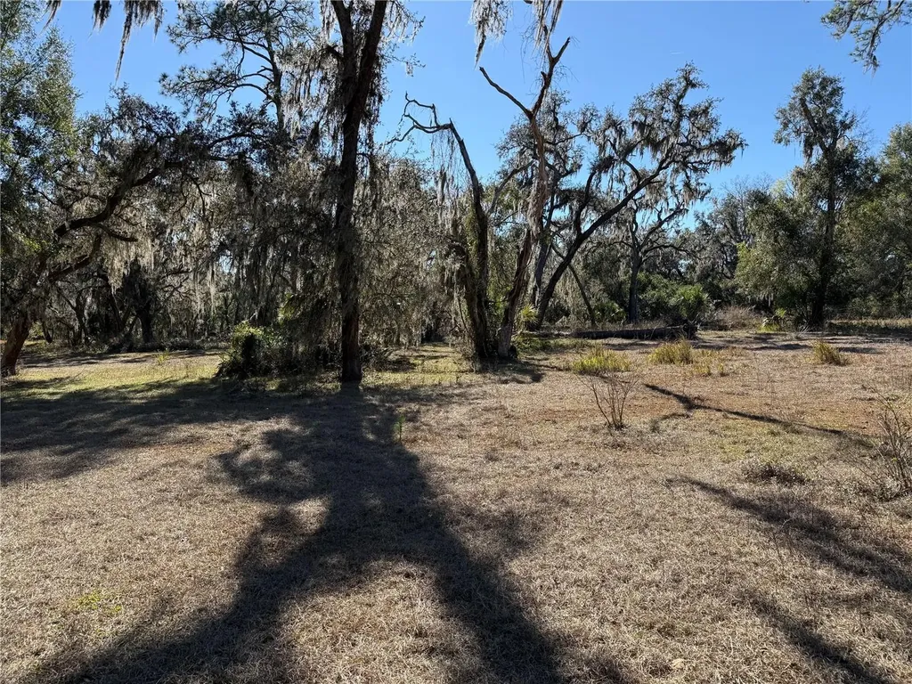 18630 Bradshaw Road Dade City FL 33523