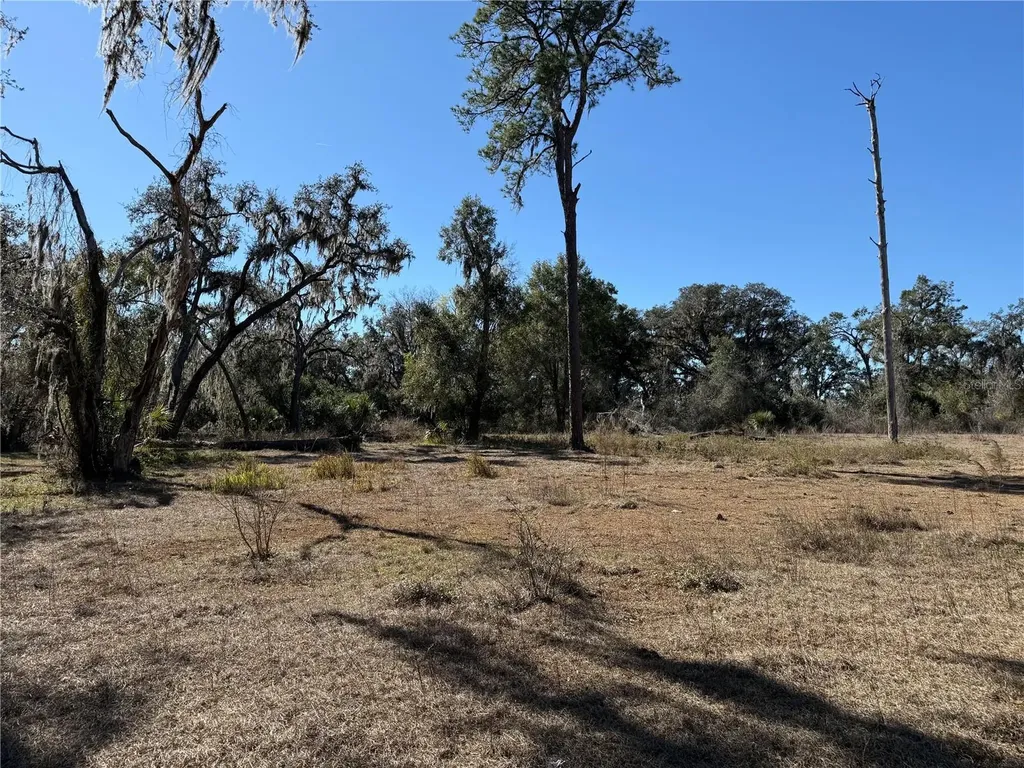 18630 Bradshaw Road Dade City FL 33523