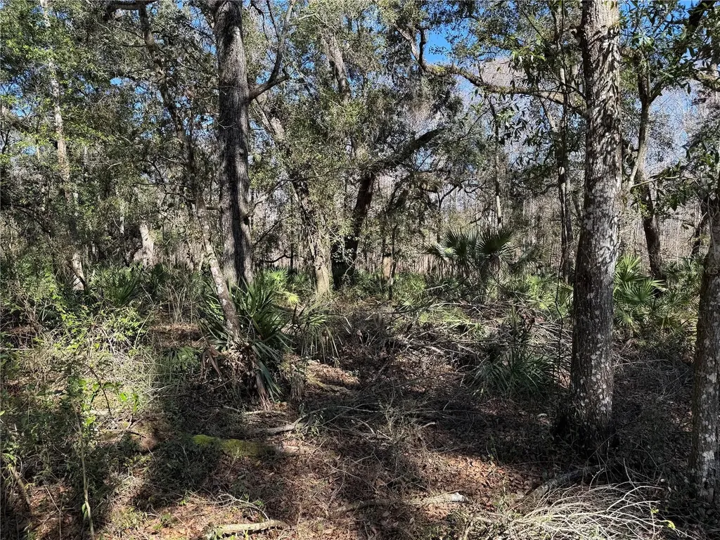 18630 Bradshaw Road Dade City FL 33523