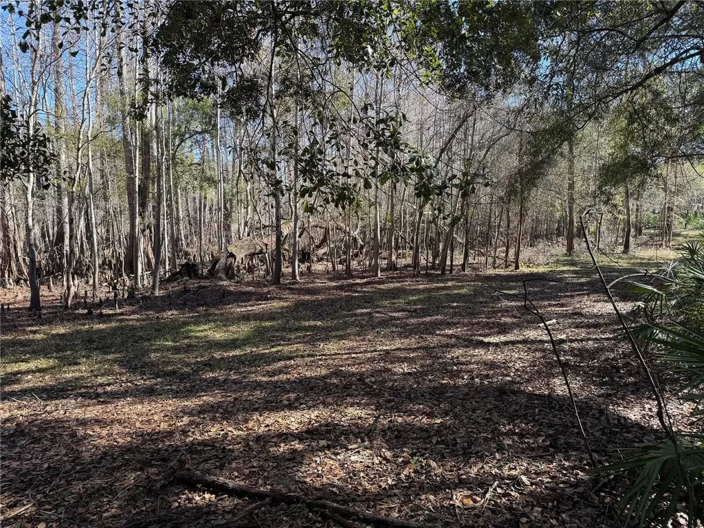 18630 Bradshaw Road Dade City FL 33523