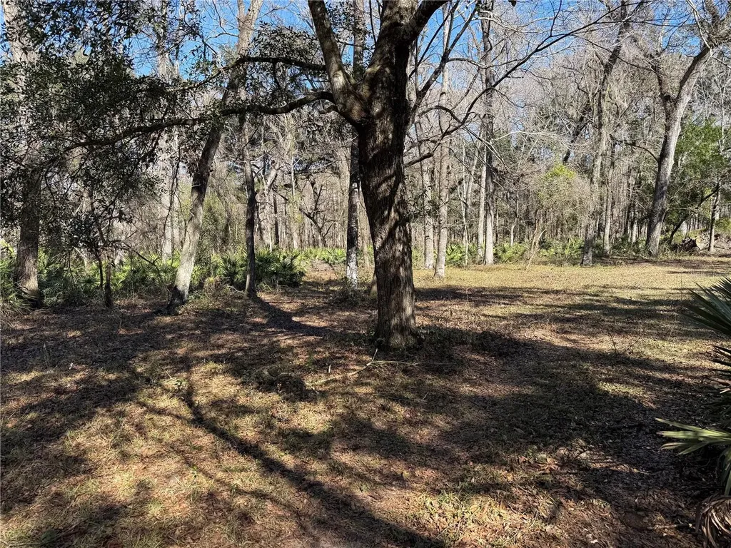 18630 Bradshaw Road Dade City FL 33523