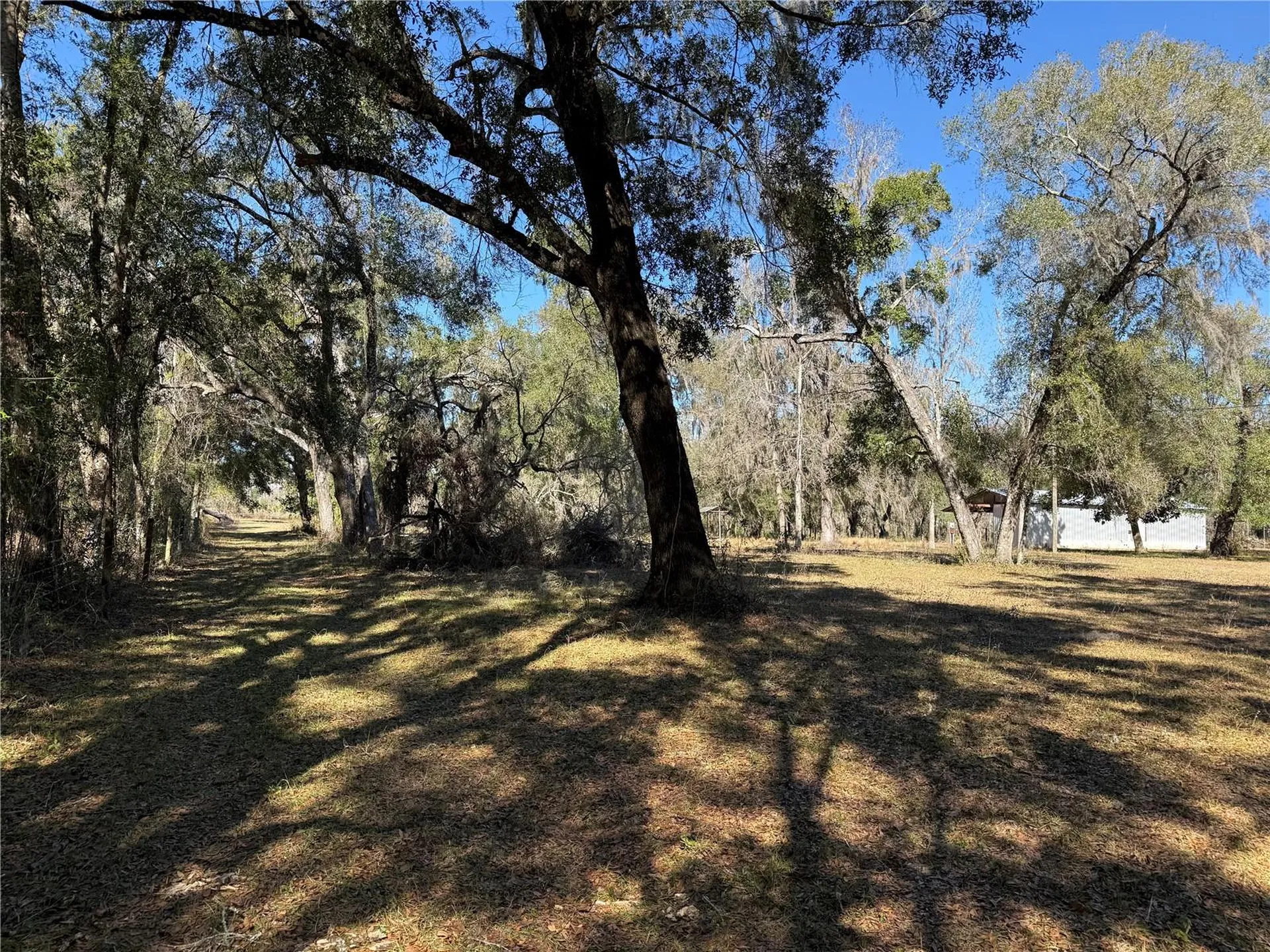 18630 Bradshaw Road Dade City FL 33523
