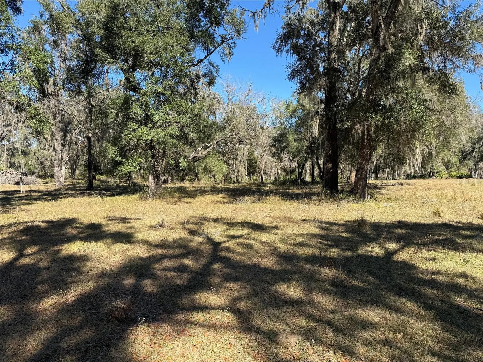 18630 Bradshaw Road Dade City FL 33523