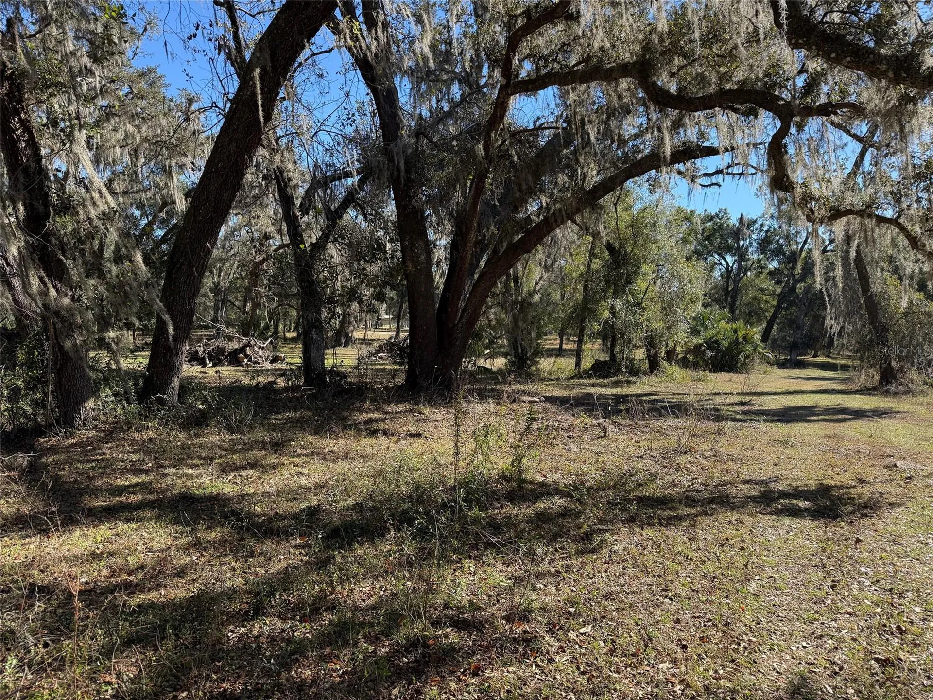 18630 Bradshaw Road Dade City FL 33523