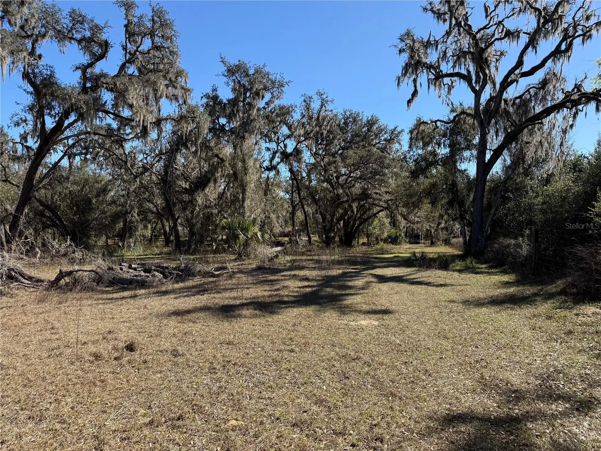 18630 Bradshaw Road Dade City FL 33523
