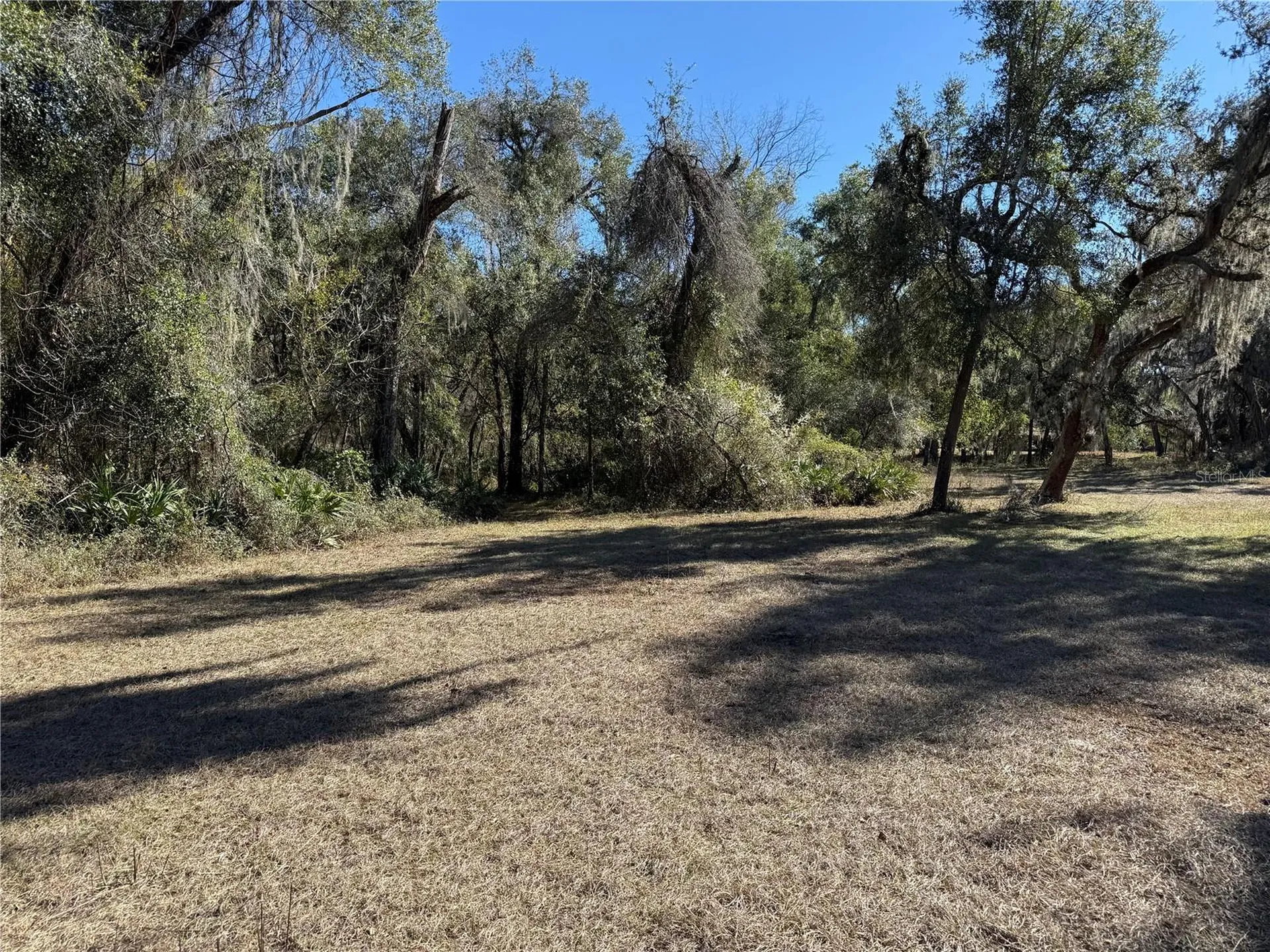 18630 Bradshaw Road Dade City FL 33523
