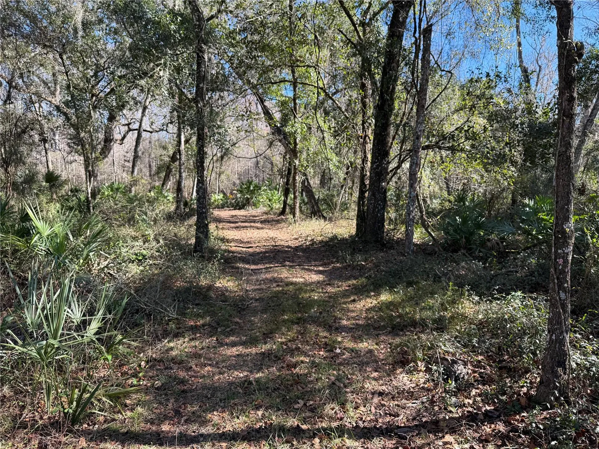 18630 Bradshaw Road Dade City FL 33523