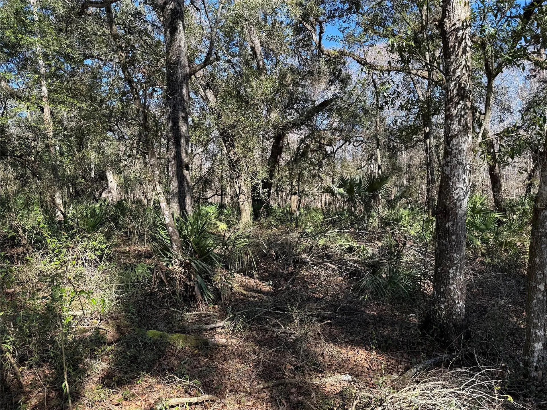 18630 Bradshaw Road Dade City FL 33523