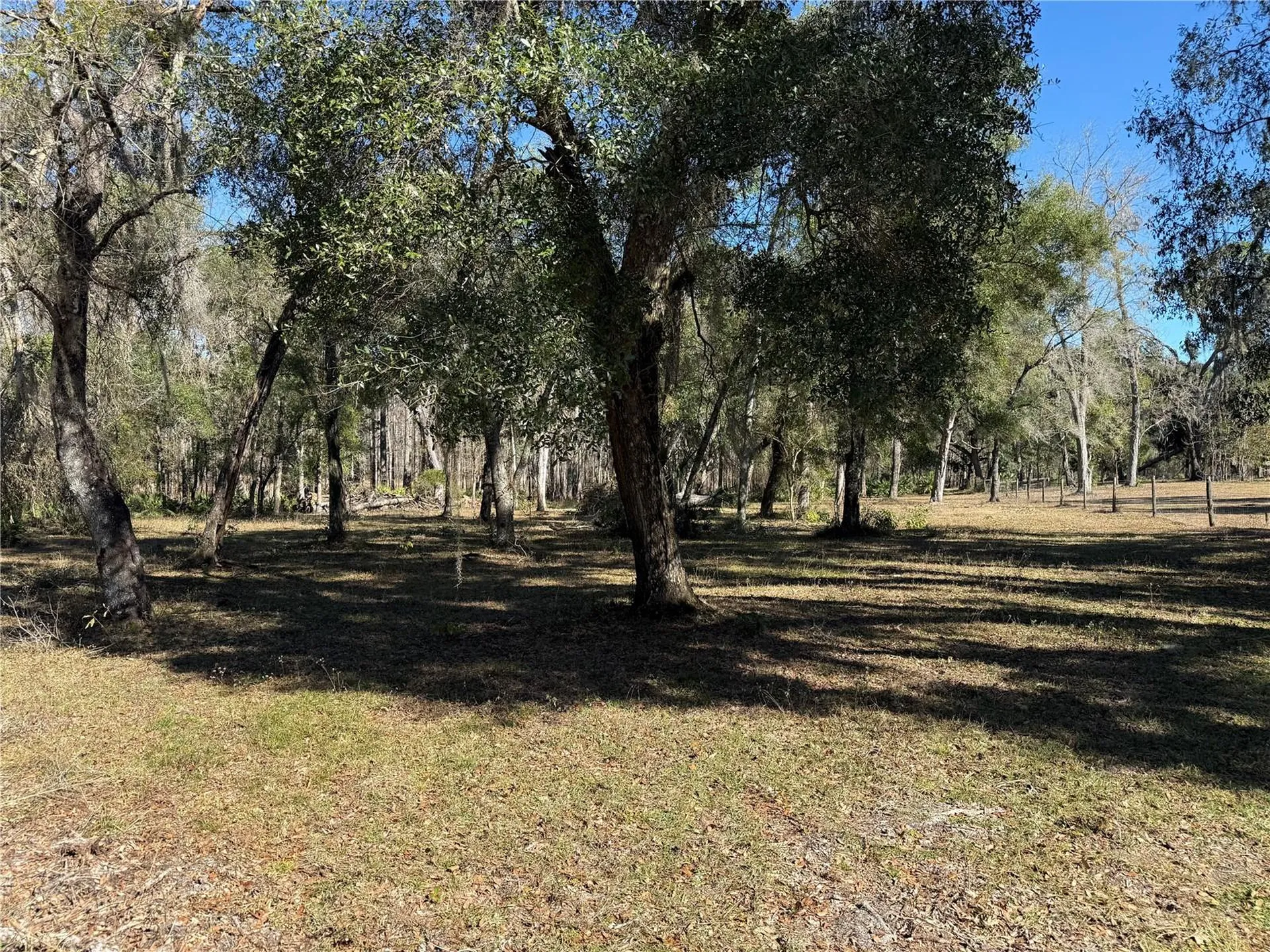 18630 Bradshaw Road Dade City FL 33523