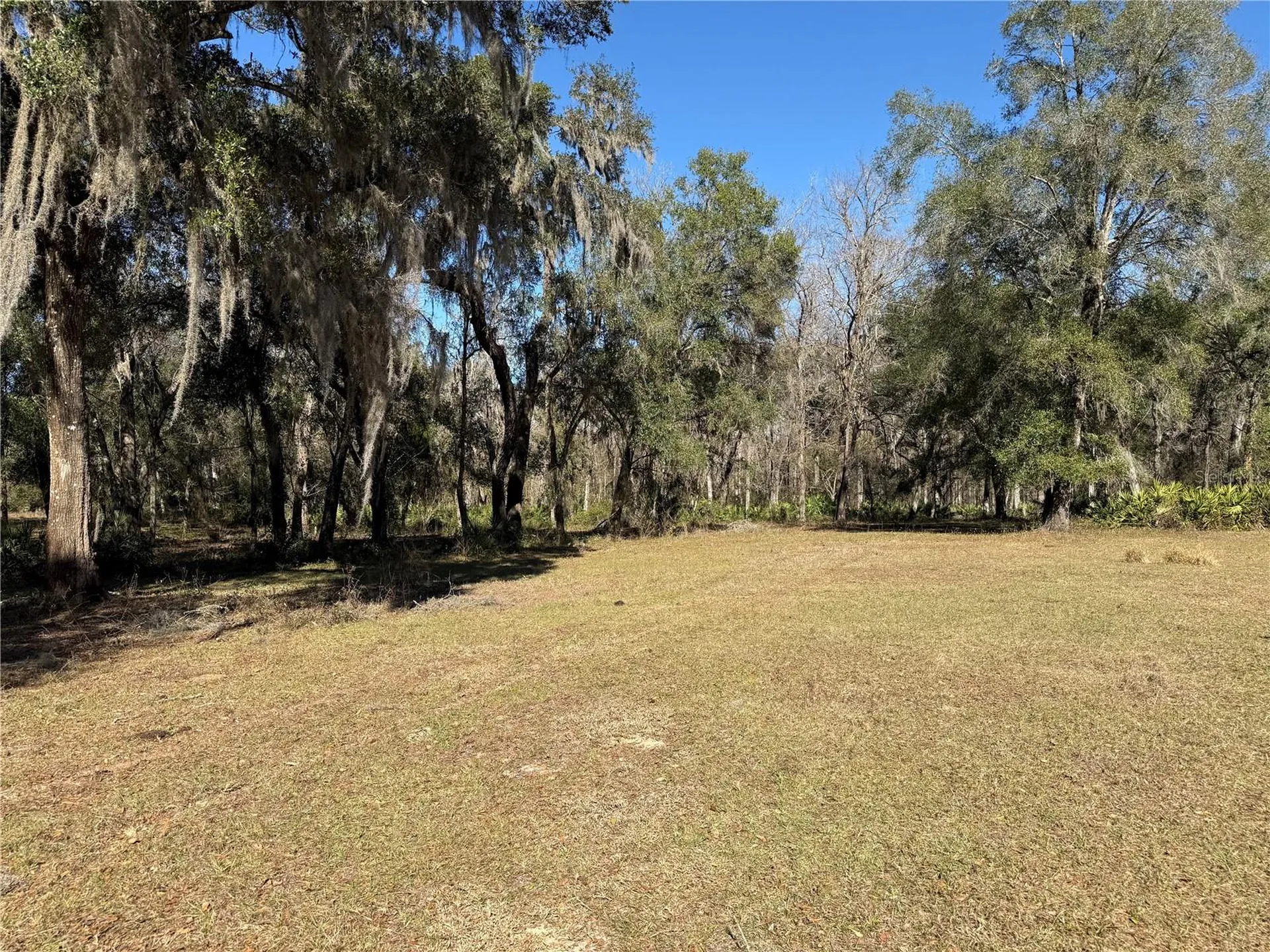 18630 Bradshaw Road Dade City FL 33523