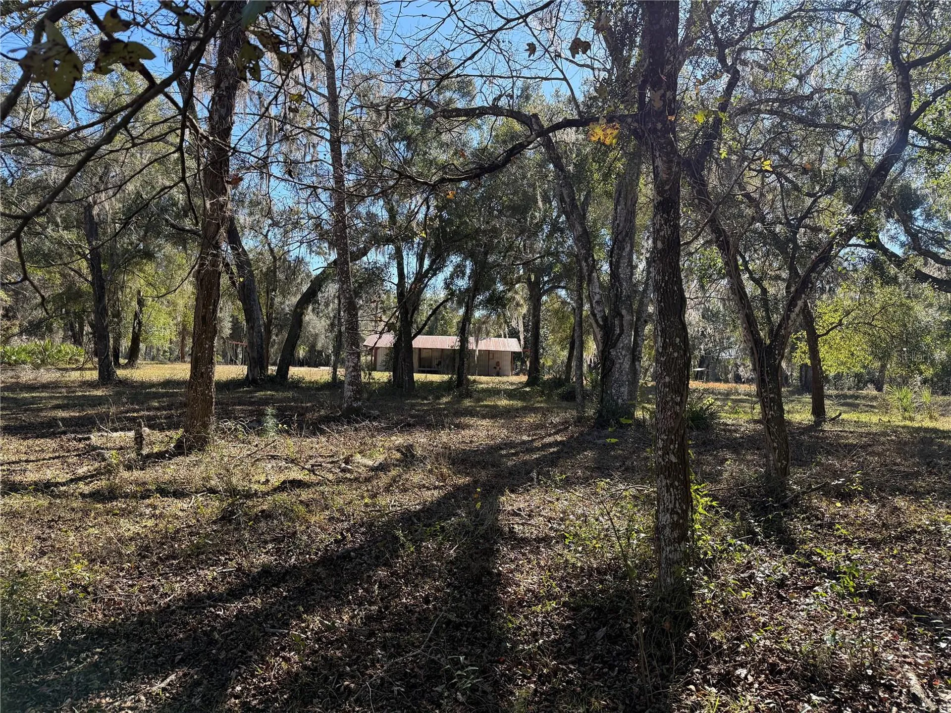 18630 Bradshaw Road Dade City FL 33523