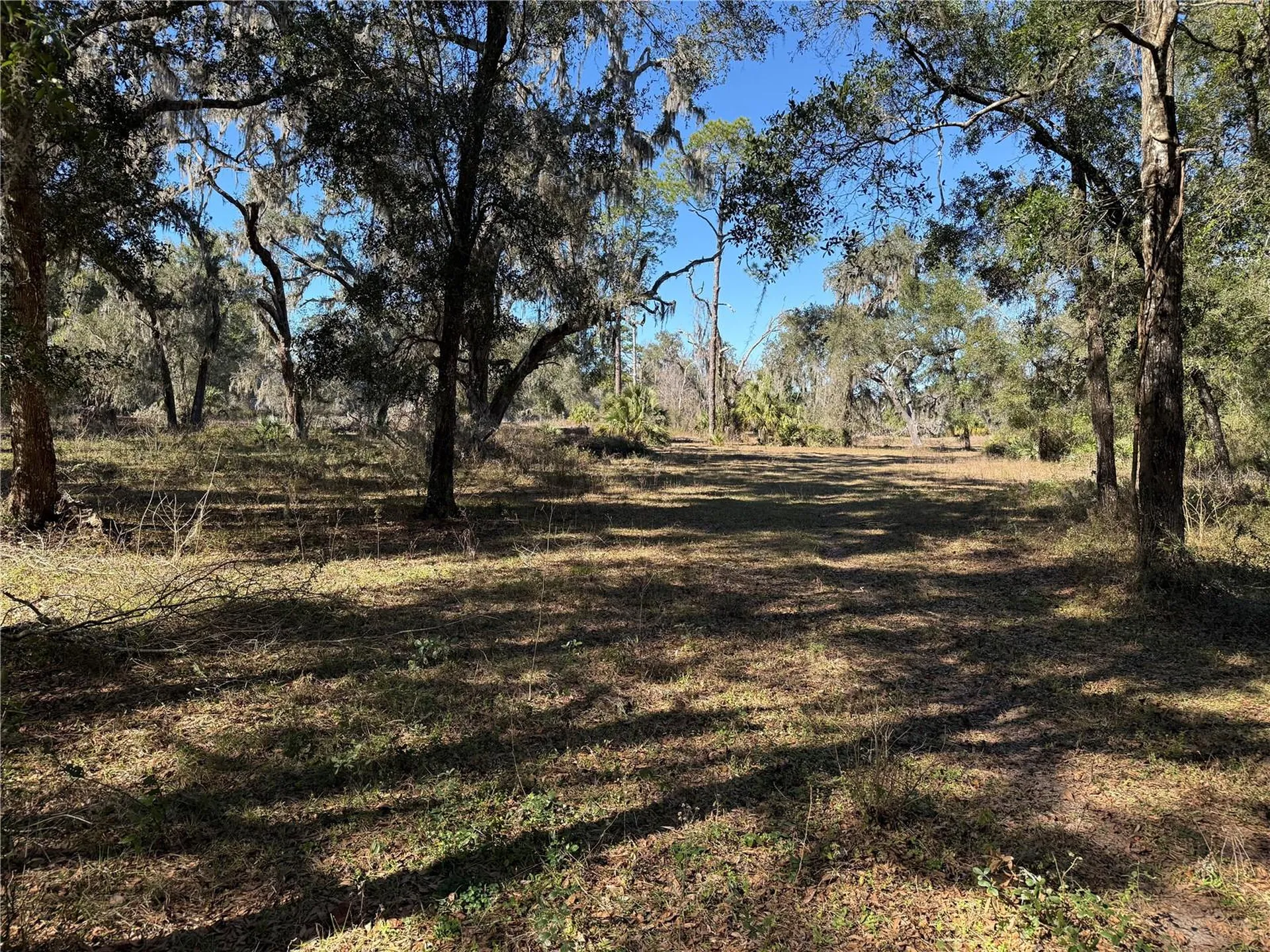 18630 Bradshaw Road Dade City FL 33523