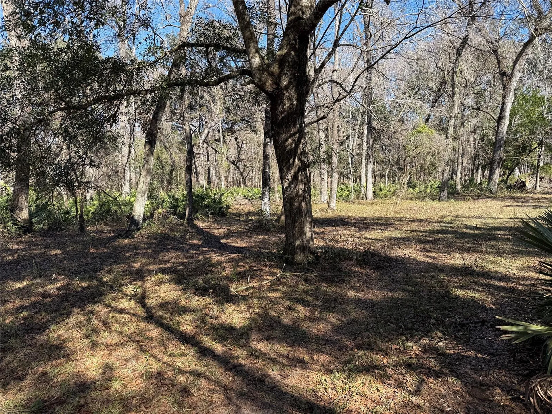 18630 Bradshaw Road Dade City FL 33523